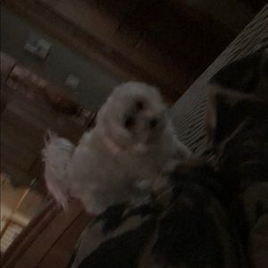 Meet your Posher, Ann